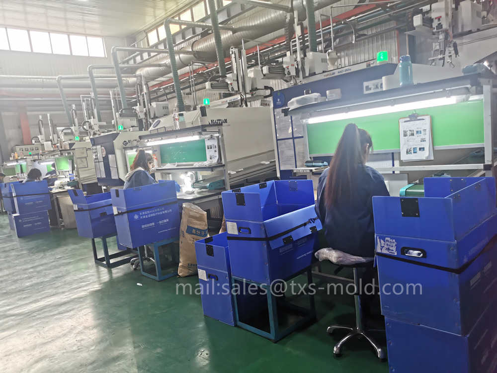 electronic control unit mold