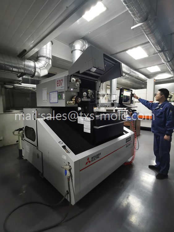 physical therapy equipment mold