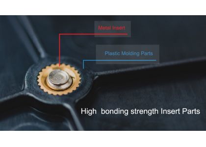 Insert Molding